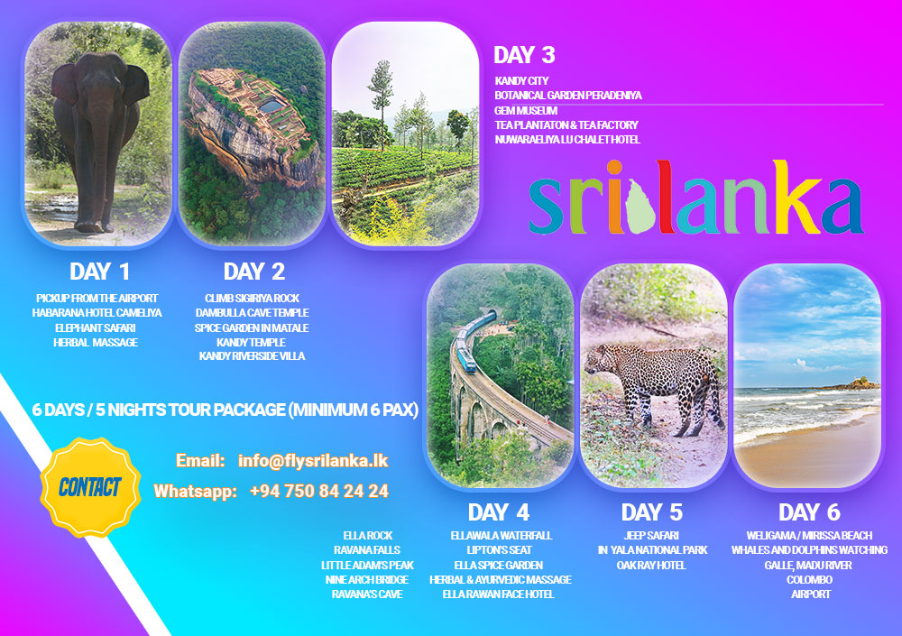 2-Travel-Back-webupload